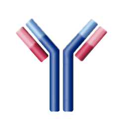 Biopromoind Antibody