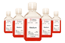 Biopromoind Cell Culture Media