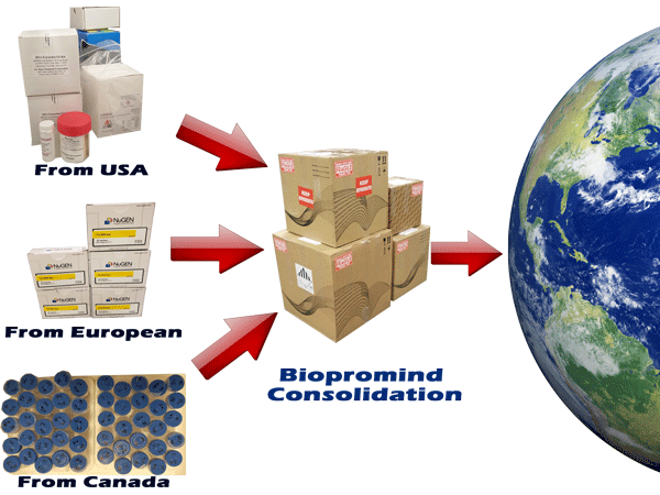 Biopromoind Biological Consolidation Service Biopromoind Biological Consolidation Service