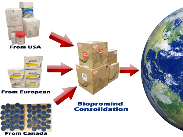 Biopromoind Biological Consolidation Service