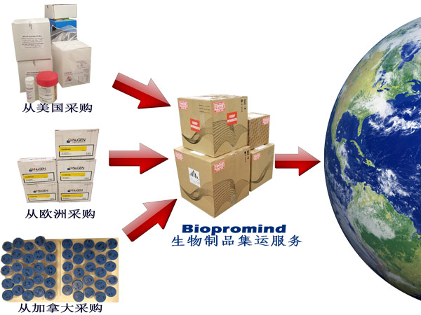 Biopromind Consolidation Service in Chinese Biopromind Consolidation Service in Chinese