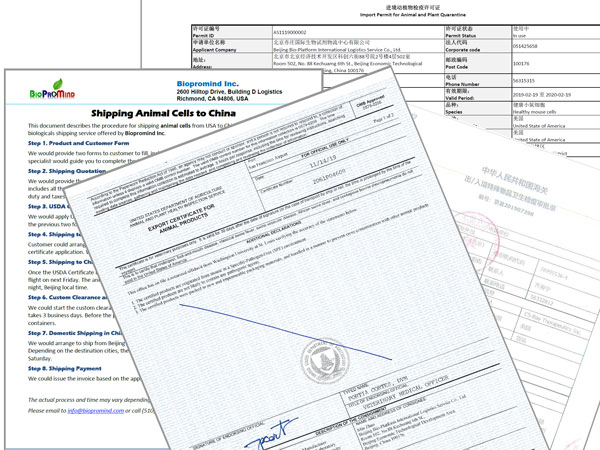 Biopromind Document Service